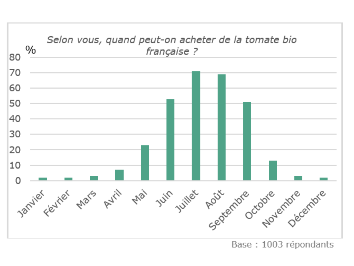 Etude courses alimentaires – 2EM Conso