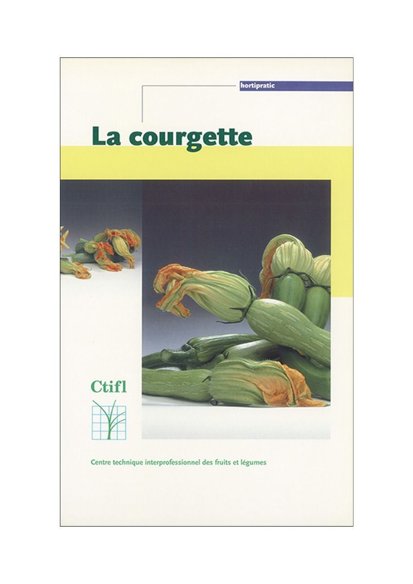 Courgette (légumes)