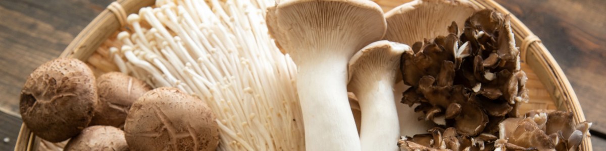 Quand les 'fungi' sortent de l'ombre