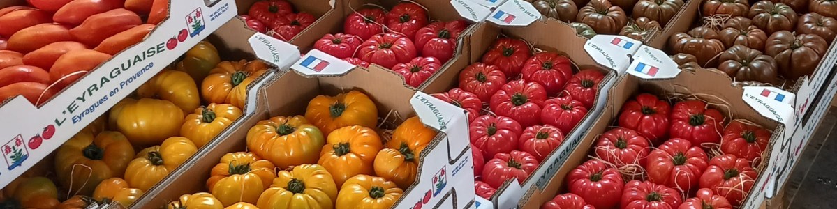 L'expéditeur, créateur de valeur et régulateur de marché