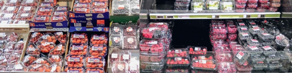 Effet de la réfrigération au point de vente sur la qualité des fraises et des framboises 