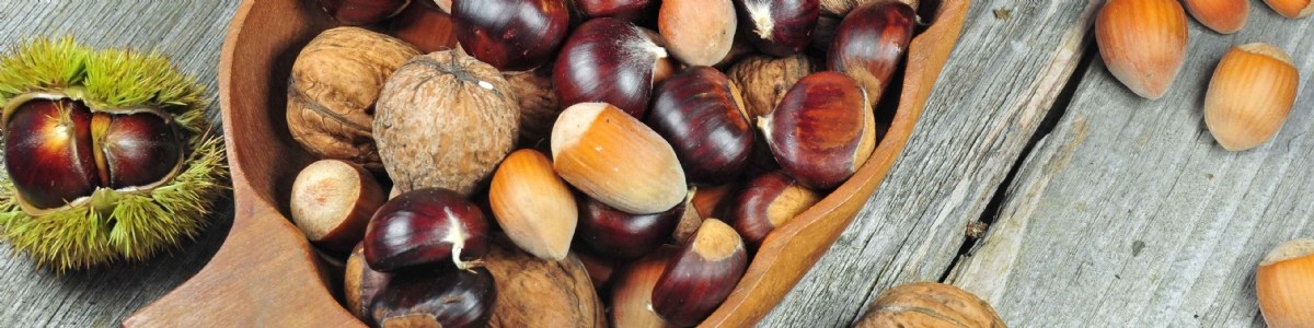 Chestnuts, walnuts and hazelnuts - perception of consumption and buying behaviour 