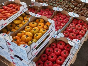 L'expéditeur, créateur de valeur et régulateur de marché