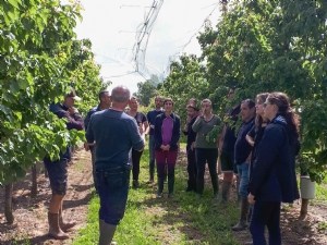 COPERNIC, révolutionner la conduite des vergers de pêche-nectarine et d'abricot 