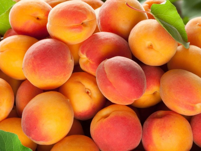 Étude des composés d’intérêt nutritionnel de différentes variétés d’abricot et de pêches en AB