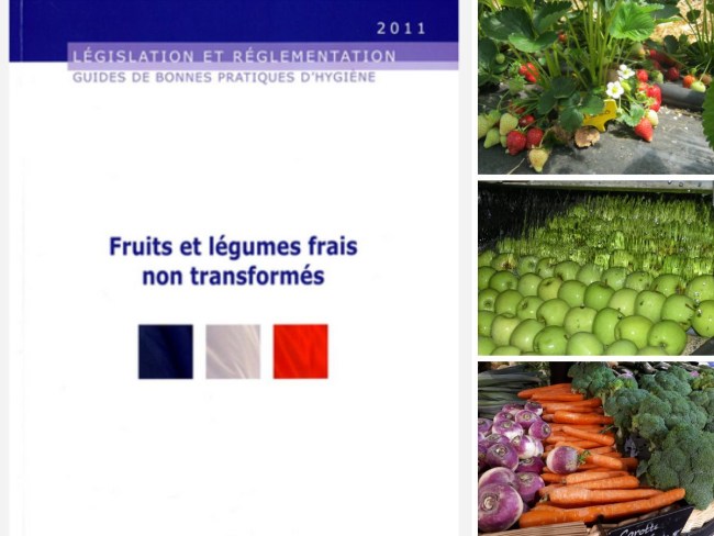 Évaluation de risques sanitaires pour les fruits et légumes bruts