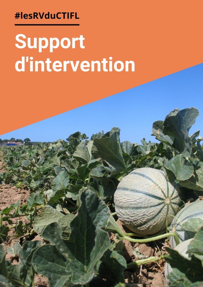 Atelier E - Quelles règles de décision pour la gestion des bioagresseurs en culture de melon ?<br>