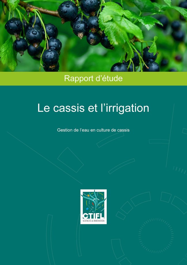 Le cassis et l’irrigation - Gestion de l’eau en culture de cassis