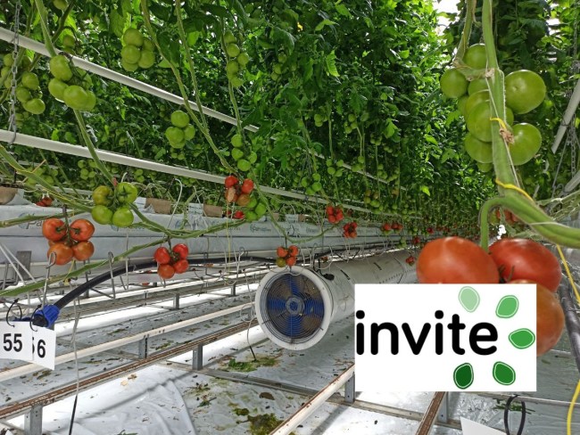 INVITE - INnovations in plant VarIety Testing in Europe