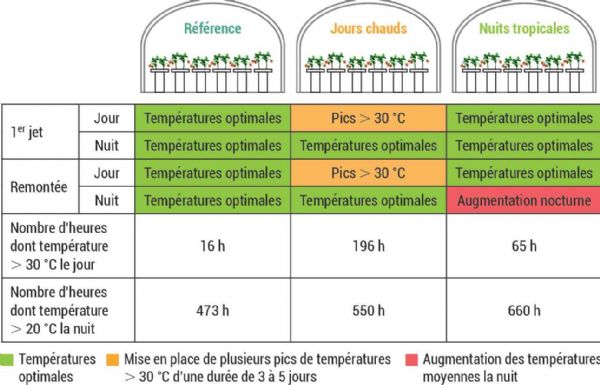 Figure 2 : Trois modalités étudiées : référence, jours chauds et nuits tropicales