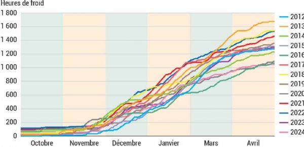 Figure 1 : Cumul des heures de froid (< 7,2 °C), centre CTIFL de Balandran